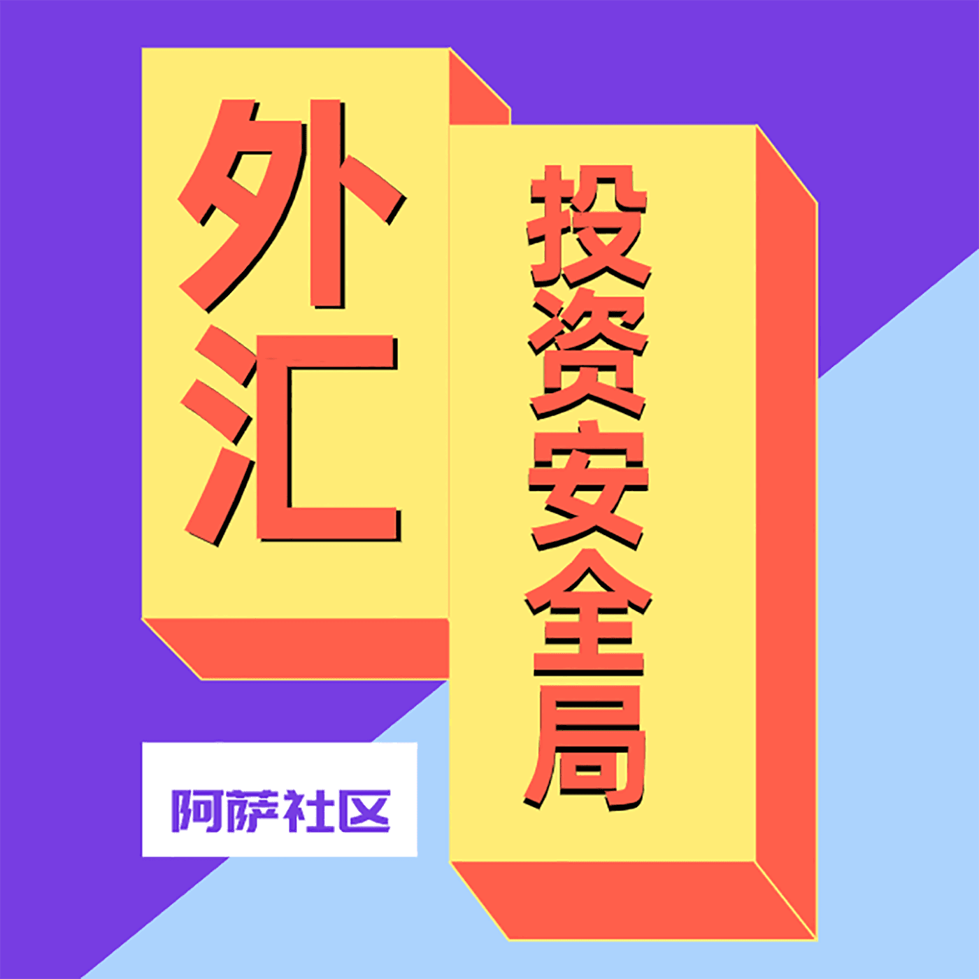 外汇投资安全局