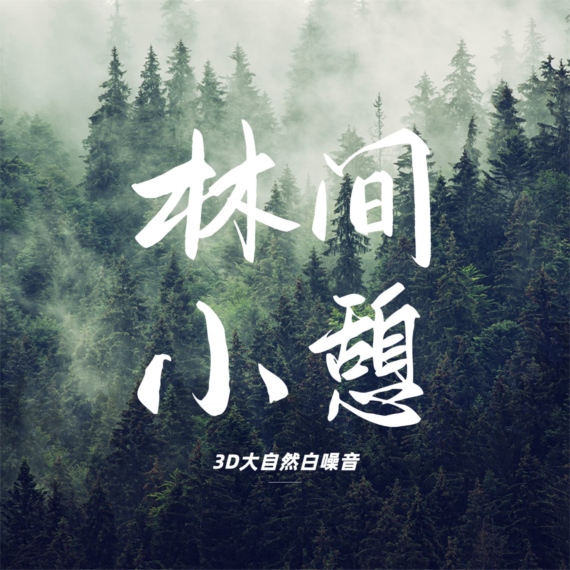 大自然的声音|森林河流白噪音 睡眠疗愈放松冥想