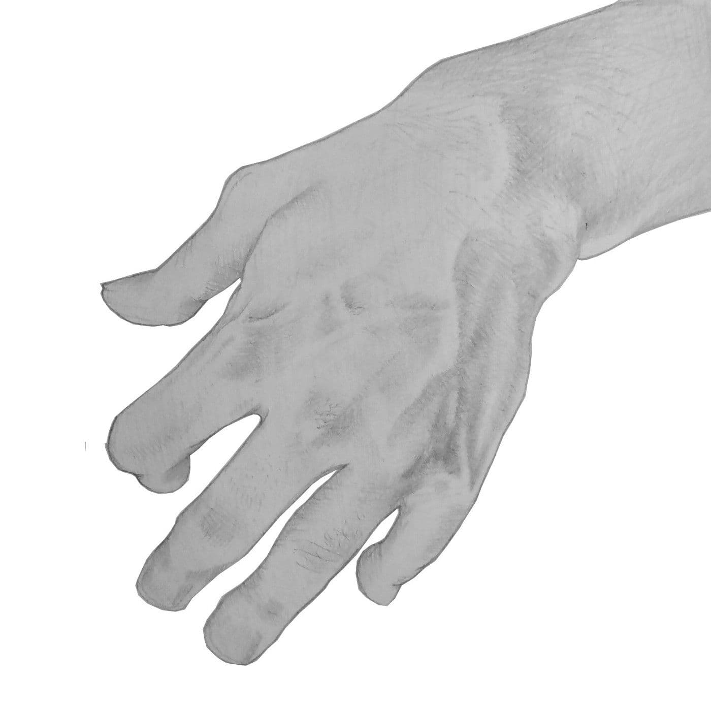 Hope of Birds 〜楽曲分析エンターテイメントpodcast〜