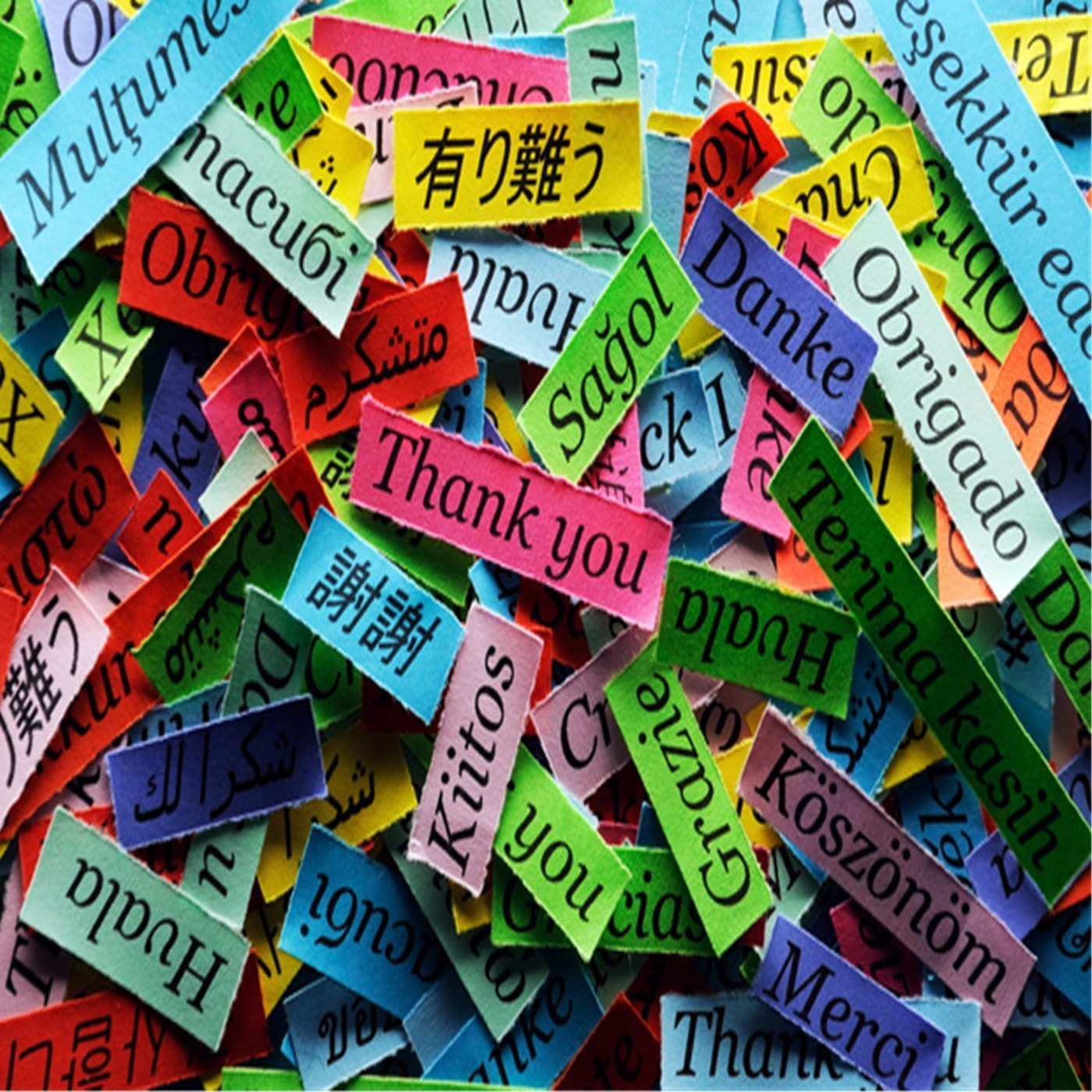 語学オタク通信