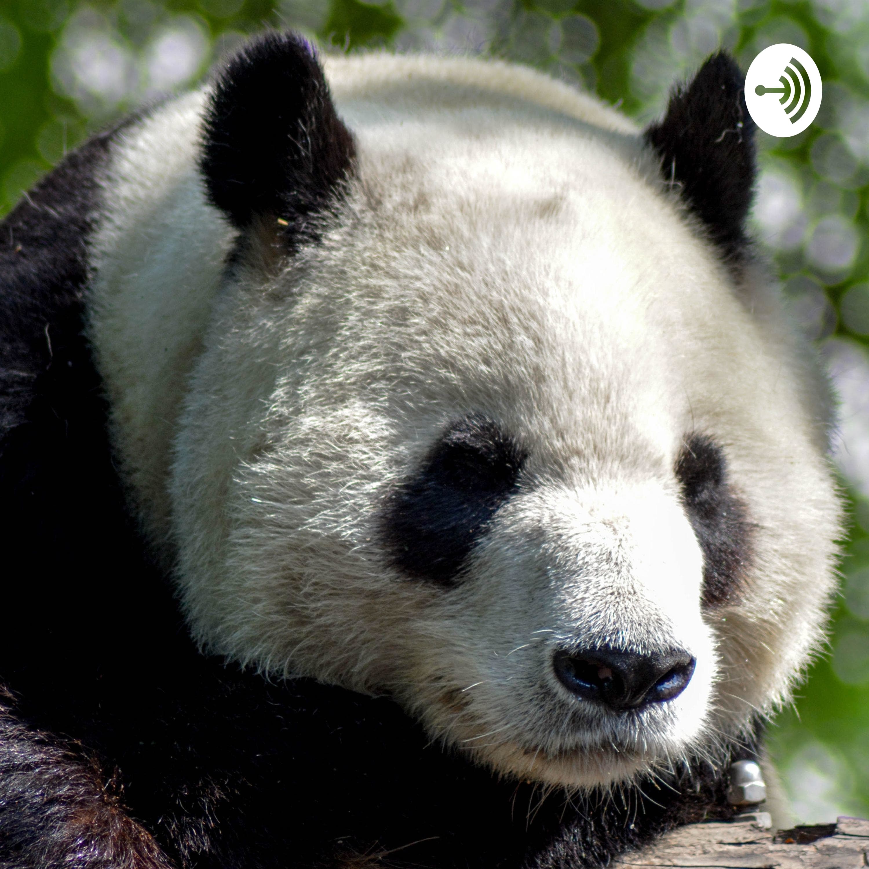 ビジネス中国語学びましょう!with ヴァレリー