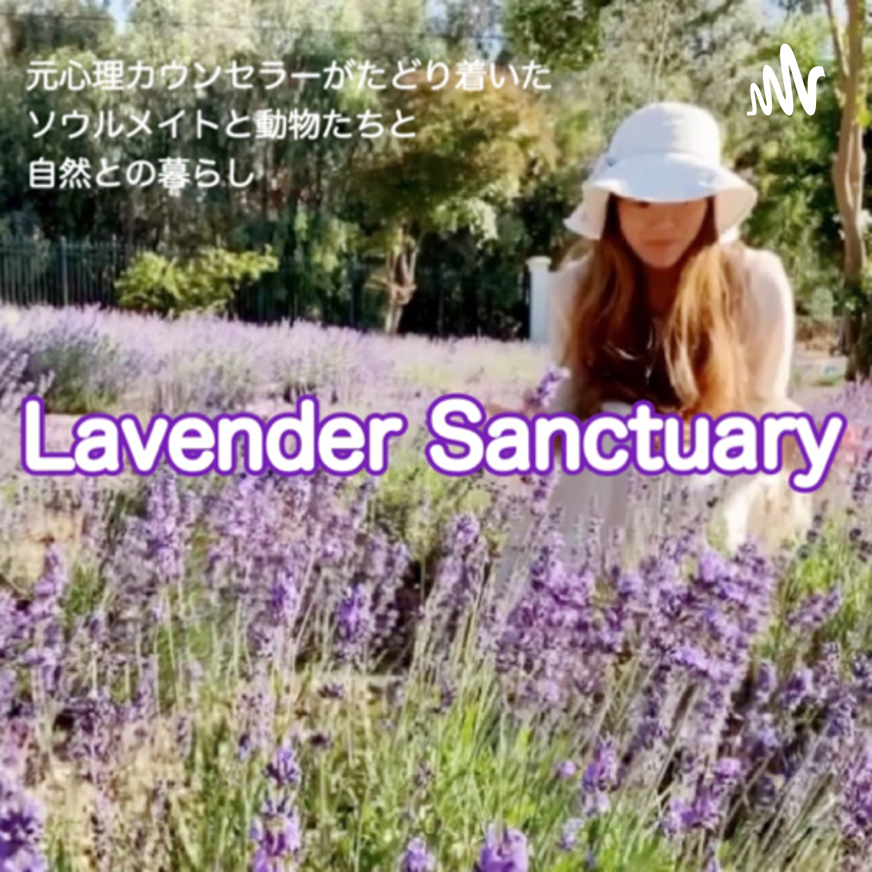 ラベンダーサンクチュアリ ソウルメイトと動物たちと自然との暮らし