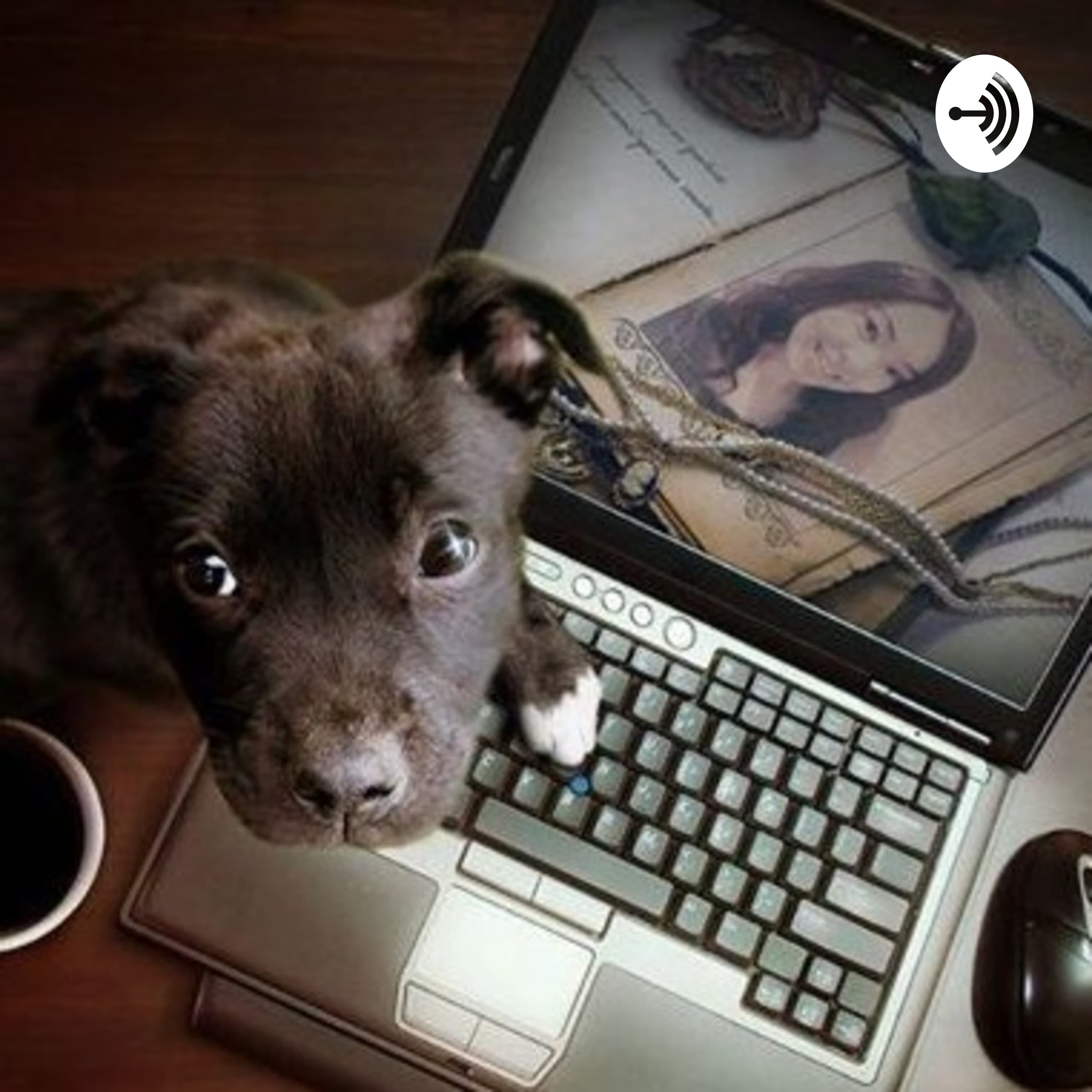 ともラジ 〜おがわともみの時間と空間を整えるラジオ〜