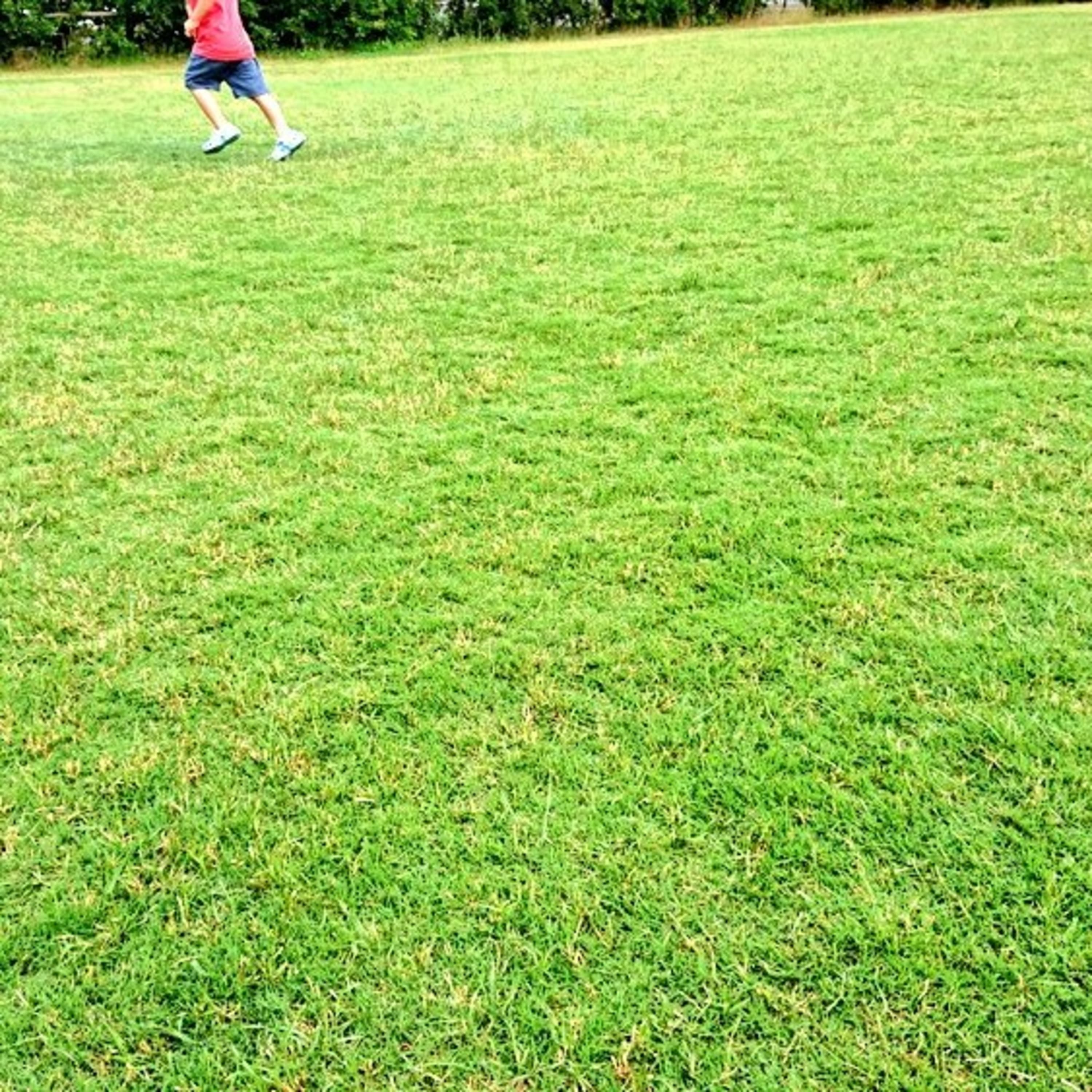 芝生も刈るWebディレクターのポッドキャスト(仮)