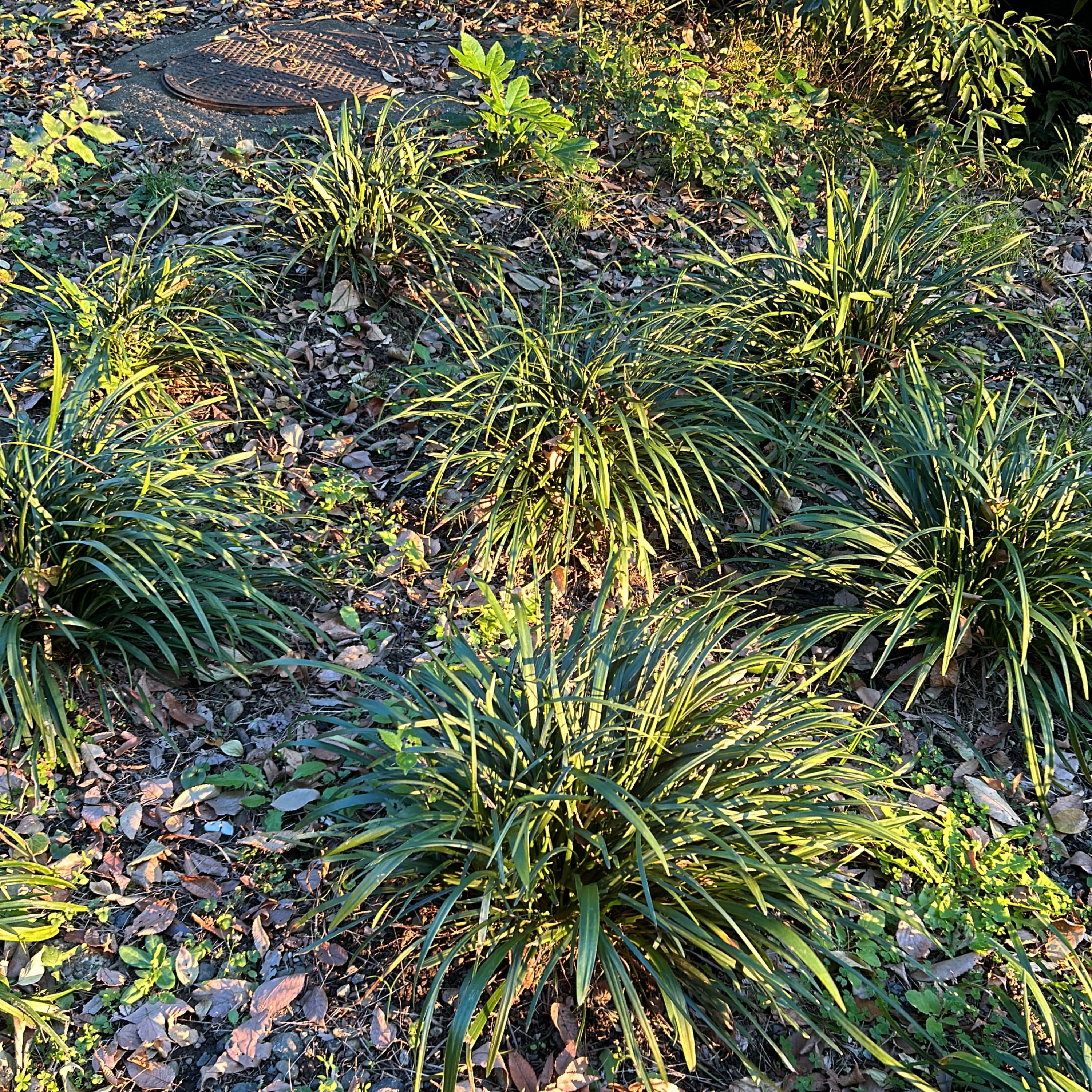 そして人生はつづくのか