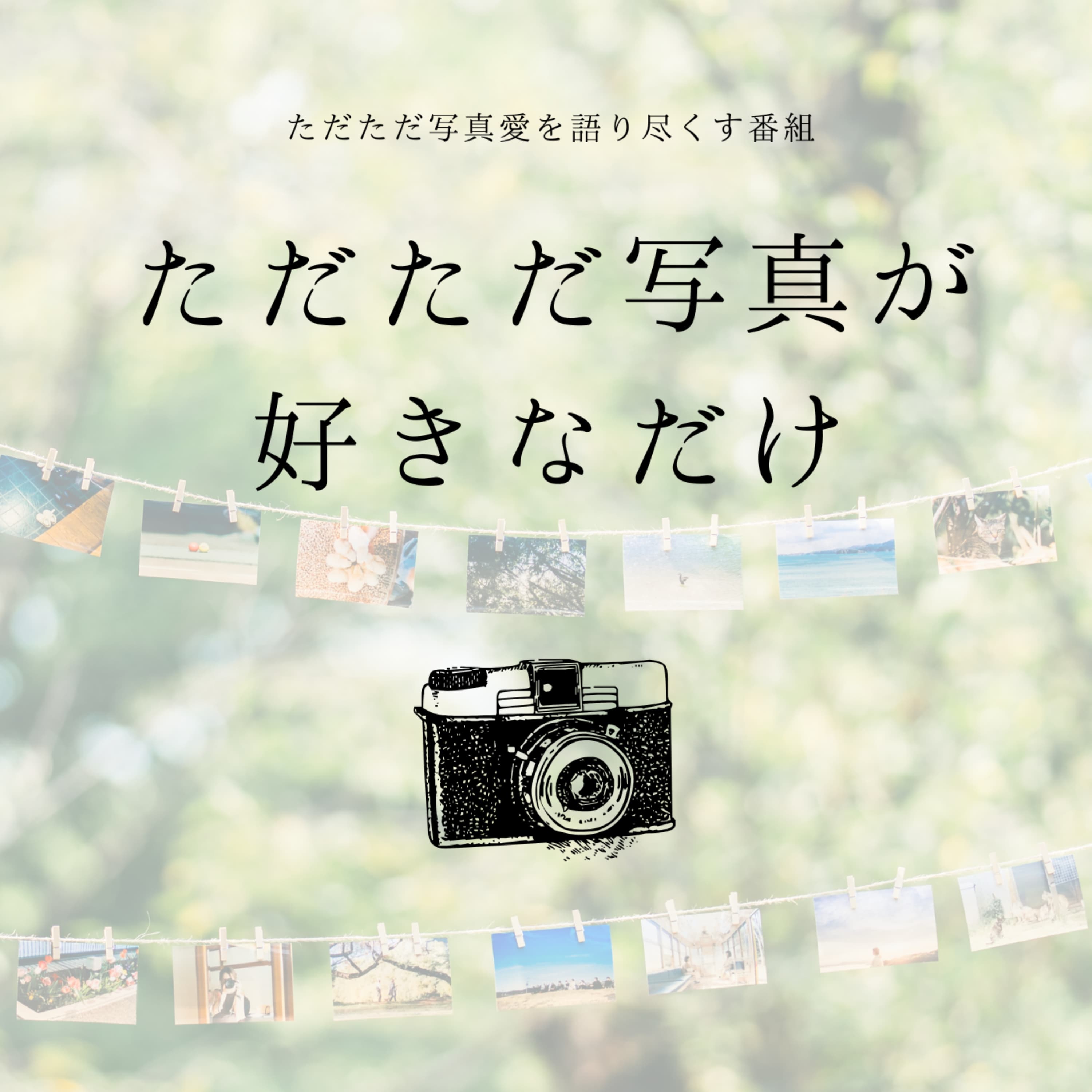 ただただ写真が好きなだけ